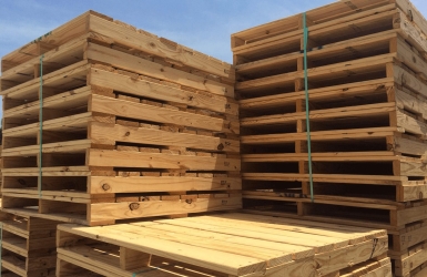Thu mua pallet cũ tại xưởng, công ty – Giải pháp tiết kiệm & tái chế hiệu quả