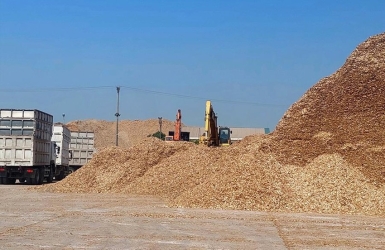 Lợi Ích Khi Bán Gỗ Vụn Cho Đơn Vị Thu Mua Uy Tín, Giá Cao Nhất Hiện Nay