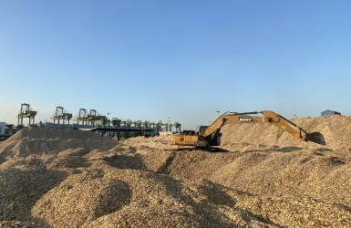 Thu Mua Gỗ Vụn Giá Cao Toàn Quốc – Cam Kết Giá Tốt Hơn Thị Trường