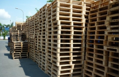 Thu mua pallet cũ giá cao – Thanh lý nhanh, tận nơi, uy tín toàn quốc
